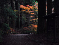 一路往东，拍在日本(续)