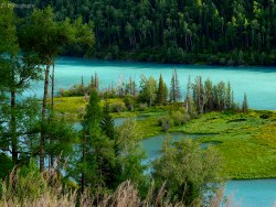 这，就是喀纳斯