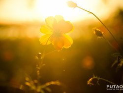 老佛爷还是很懂生活的⋯⋯