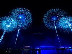 只要曾经绚烂 就不枉此生