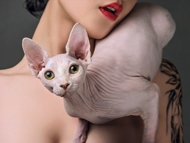 【KEN-Q】《秋刺青 X 咕噜猫侍》猫和女孩