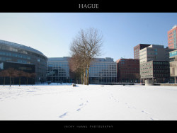 荷兰，26天，海牙，阿姆，埃因霍温