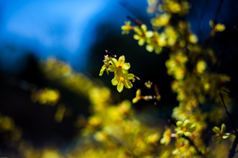 20140321奥林匹克森林公园（上）