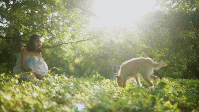 喜欢初夏透着光的树林（图ZNDk1NjgwNTY=） - 人像摄影 - 站酷设计师洗衣机它转疯了原创素材 - 站酷ZCOOL