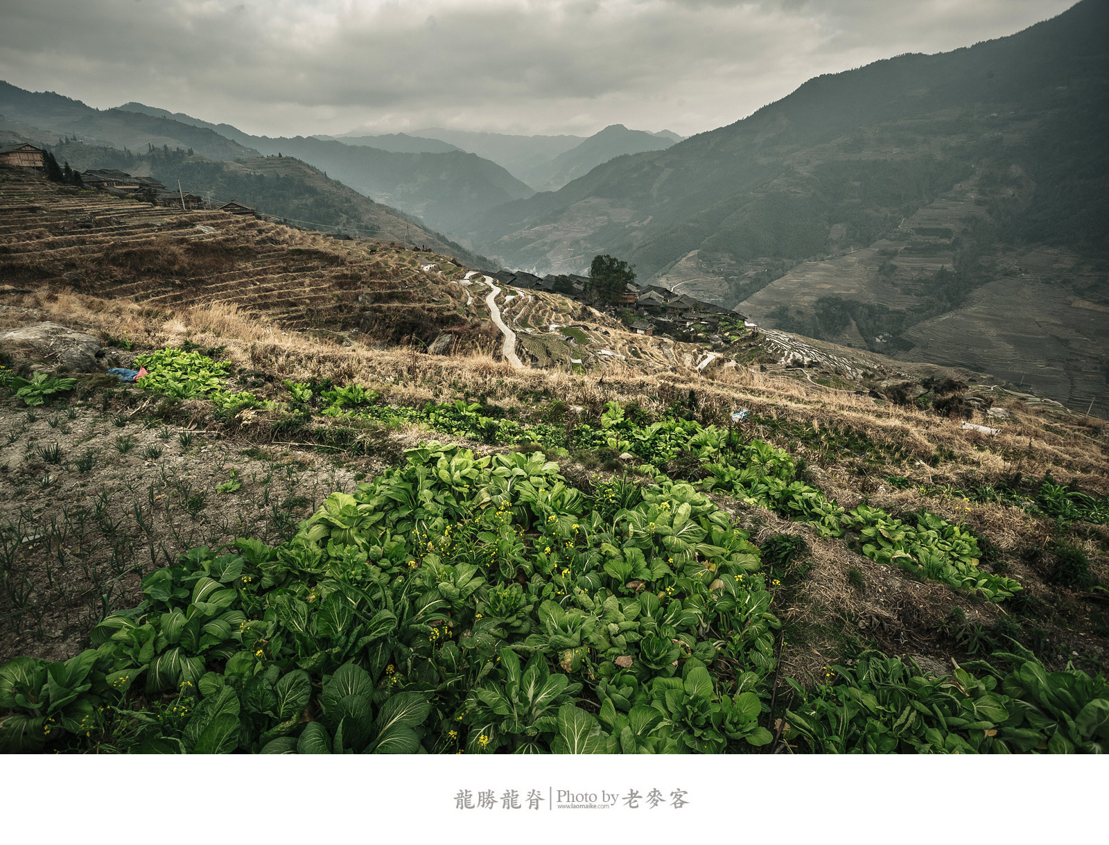 冬日里的龙脊古壮寨梯田