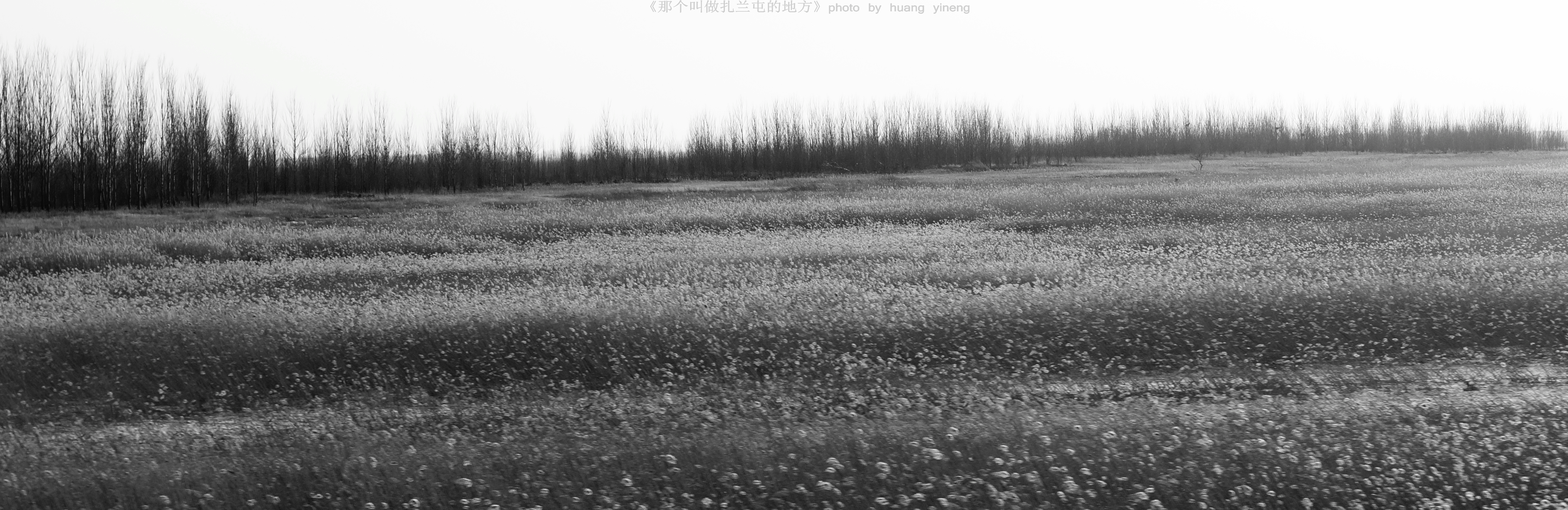 有一个叫做扎兰屯的地方