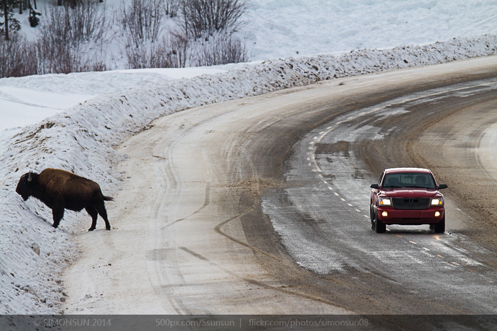 风雪北极路#出发的勇气2014#