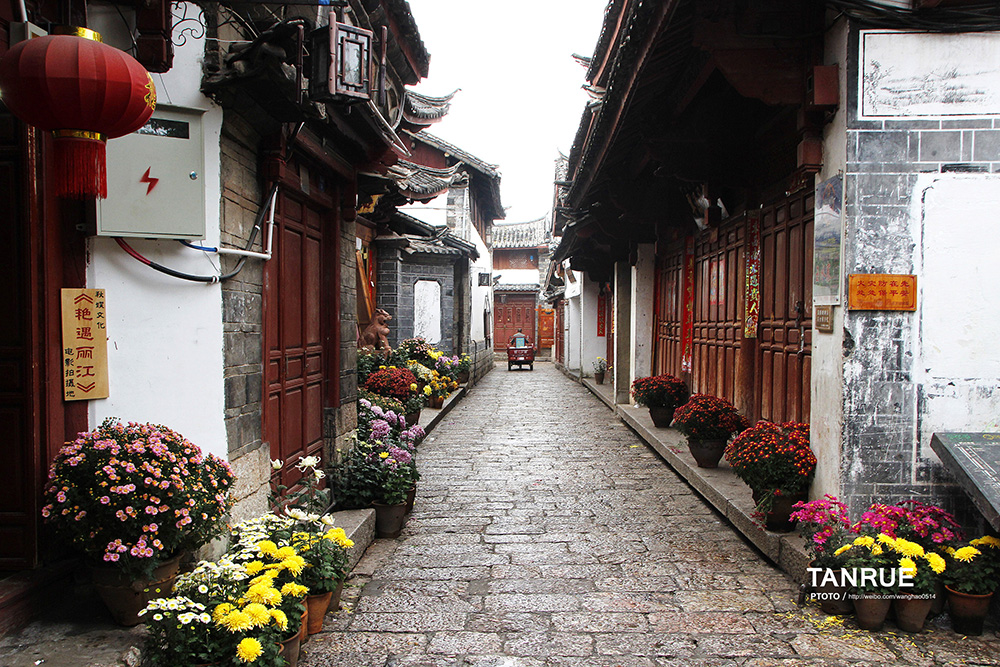 Tanruy 视界 - || 丽江 ||