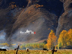 彩色川西（二）