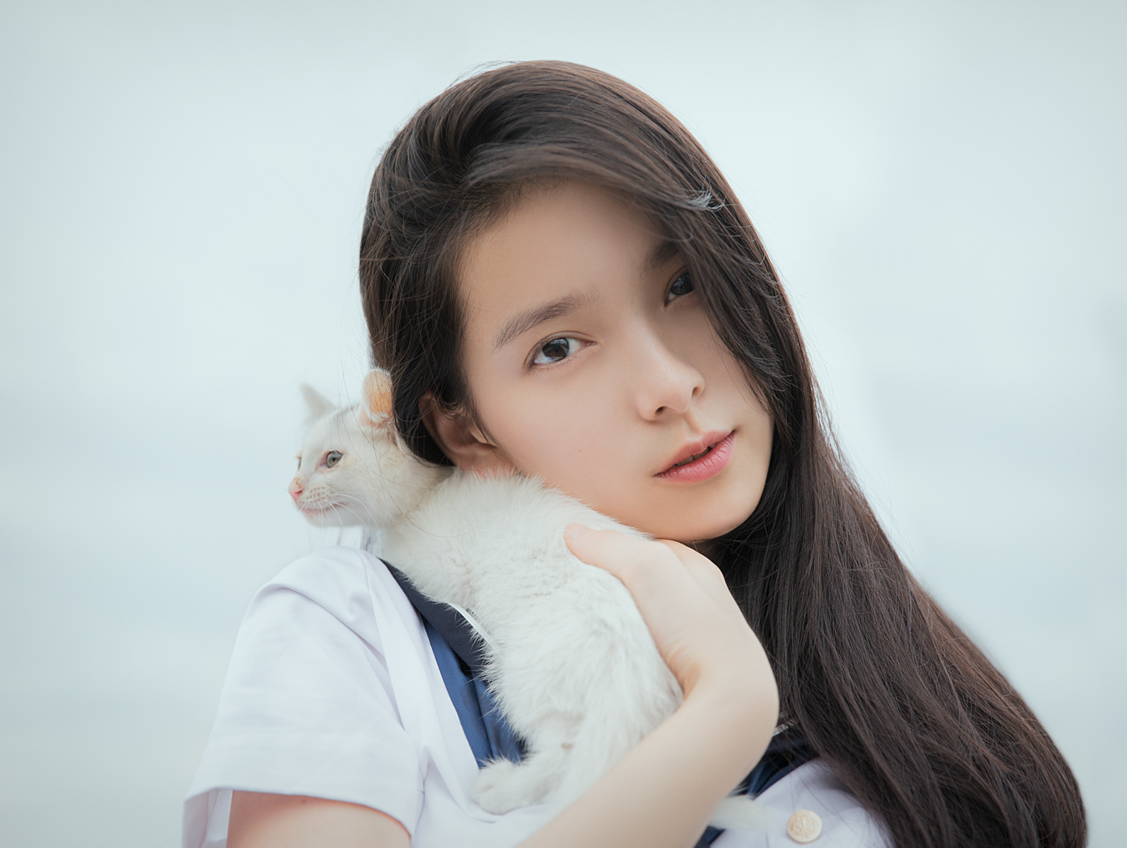 靑谷娅のキャンパスの物語 序幕篇