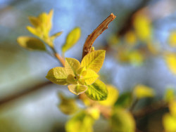 为自己的摄影（四）