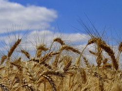 旅途-骑行路上的风景