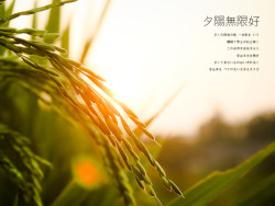  日出，日落，星空，夜。（下集）