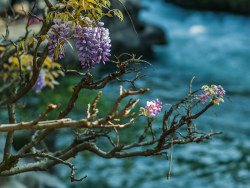 几张工作之余闲拍的风景