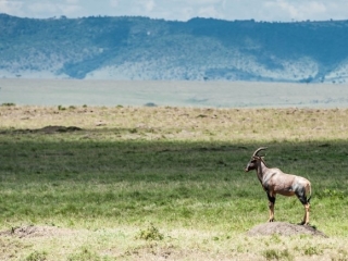 人在非洲《老爸老妈闯非洲》——母亲节献礼