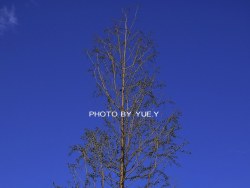 那些我生命中美好的一切