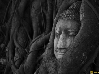 黑摄会出品《佛的国度》