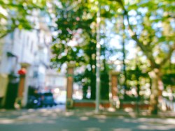 一半沐浴阳光，一半洒落阴凉