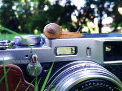 背着相机，一直在路上