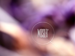 無題集'壹(2012-2013)