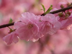 一年之计在于春