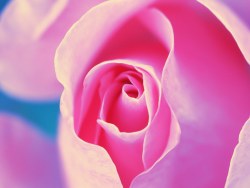 为自己的摄影（七）