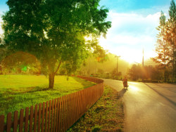 时光停滞在普吉2