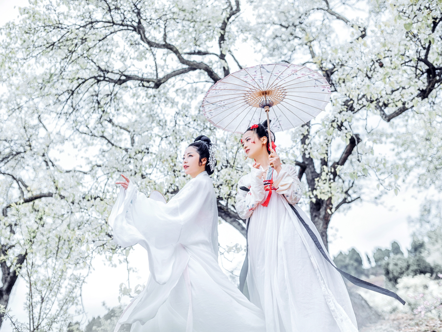 【蜀山桃梨愫】