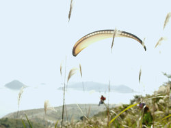 小鹰嘴滑翔