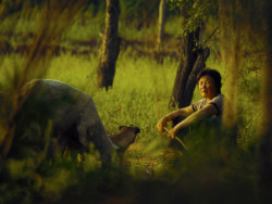 民有渠畔的风景