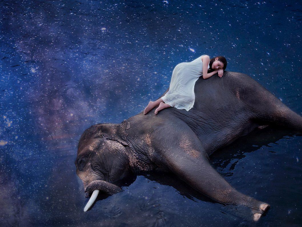 我的2016--你是我眼中最美丽的诗