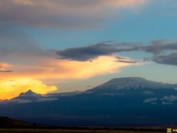 黑摄会出品《乞力马扎罗山下的大象》
