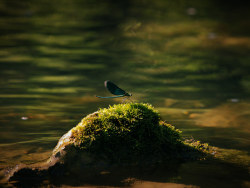 为自己的摄影（三）