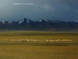 《梦回西藏》第二季