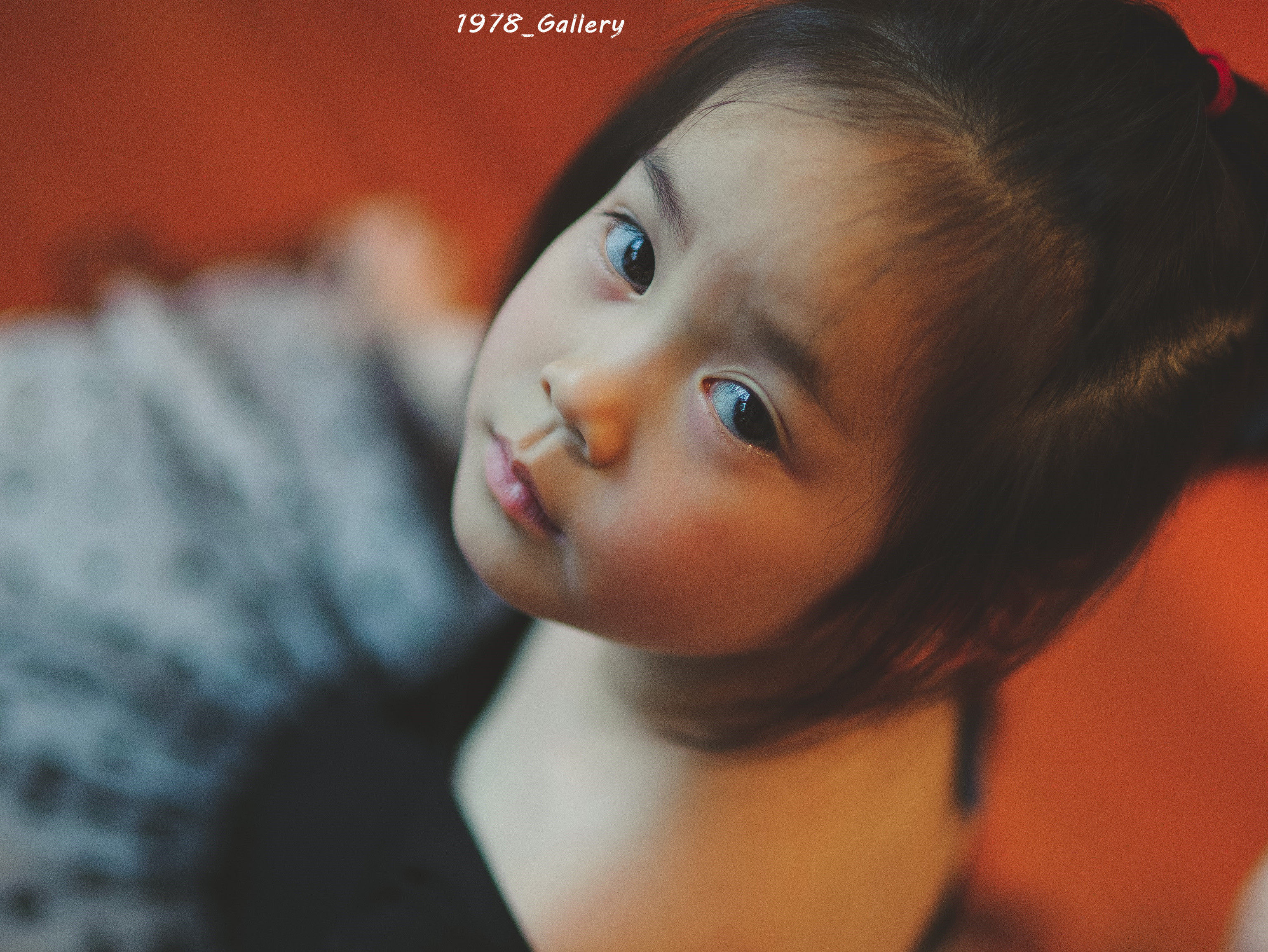 萝莉的眼神你们不会懂