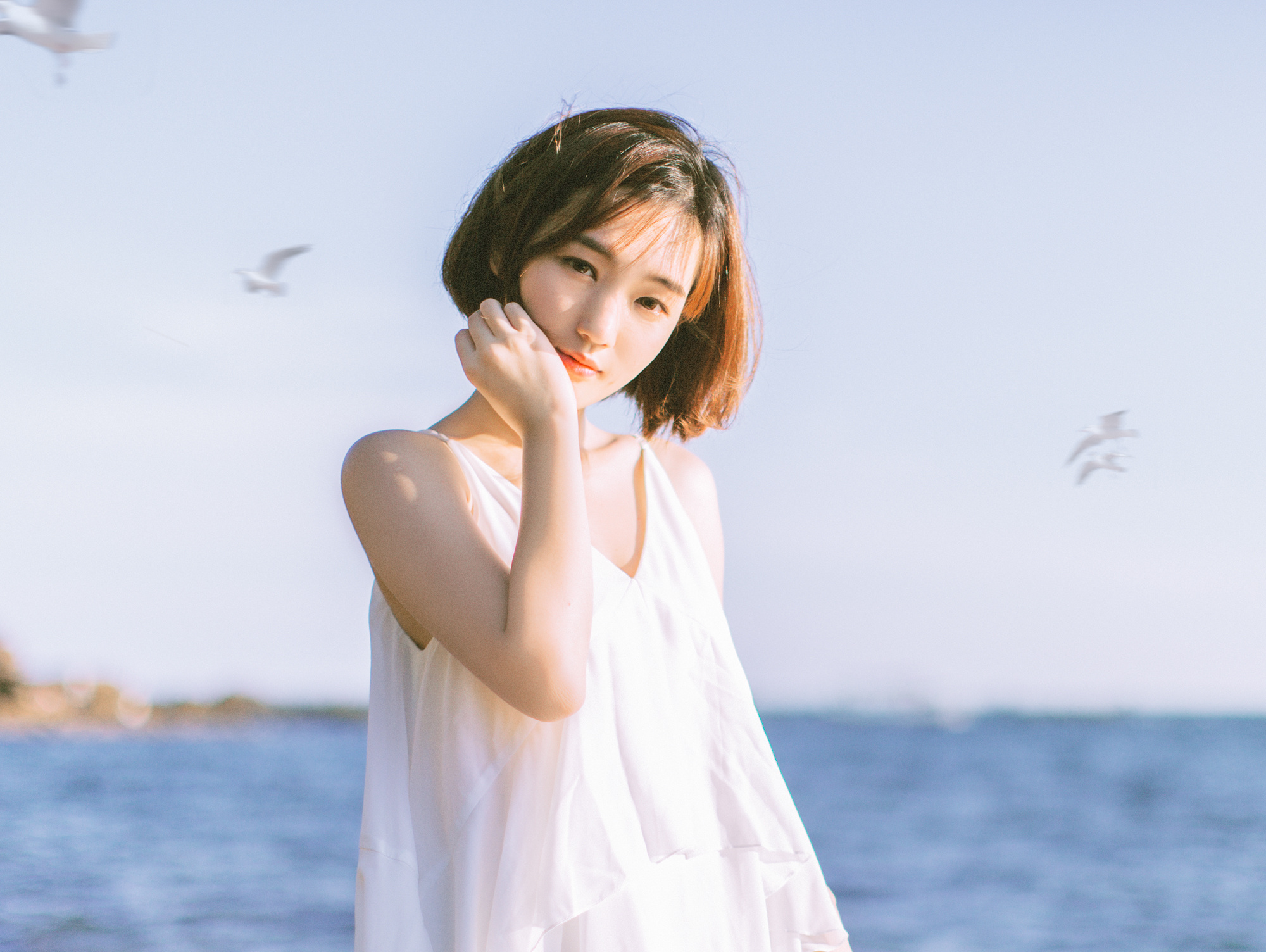 阳光下的那片海