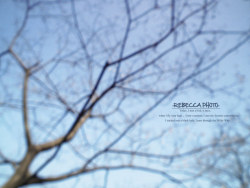 夏天到了才想起来要春游