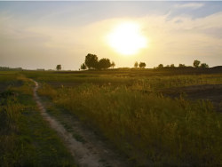 多情的土地&nbsp;