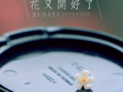 年复一年，花又开好了