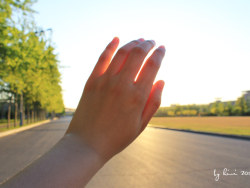 朝着阳光的方向