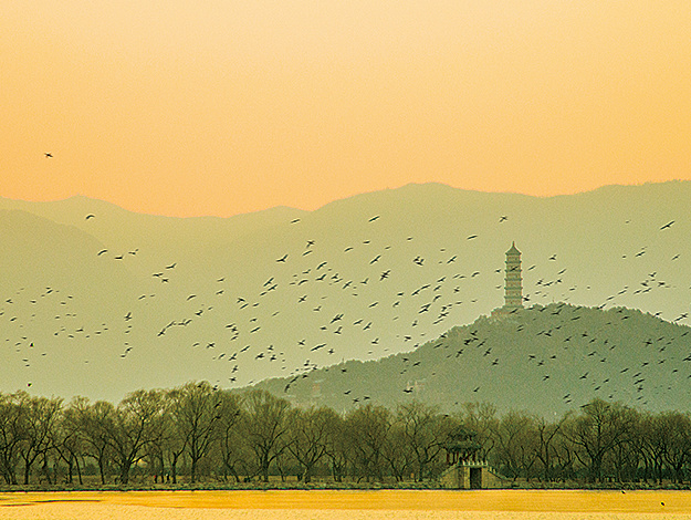 我的心·镜世界 I