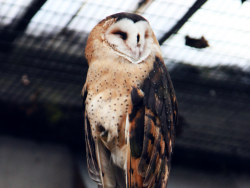 上海动物园的小伙伴们