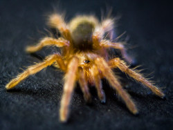 Threegen的2013年拍片总结