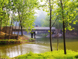 洒满阳光的风景
