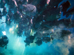 爱上另一个世界