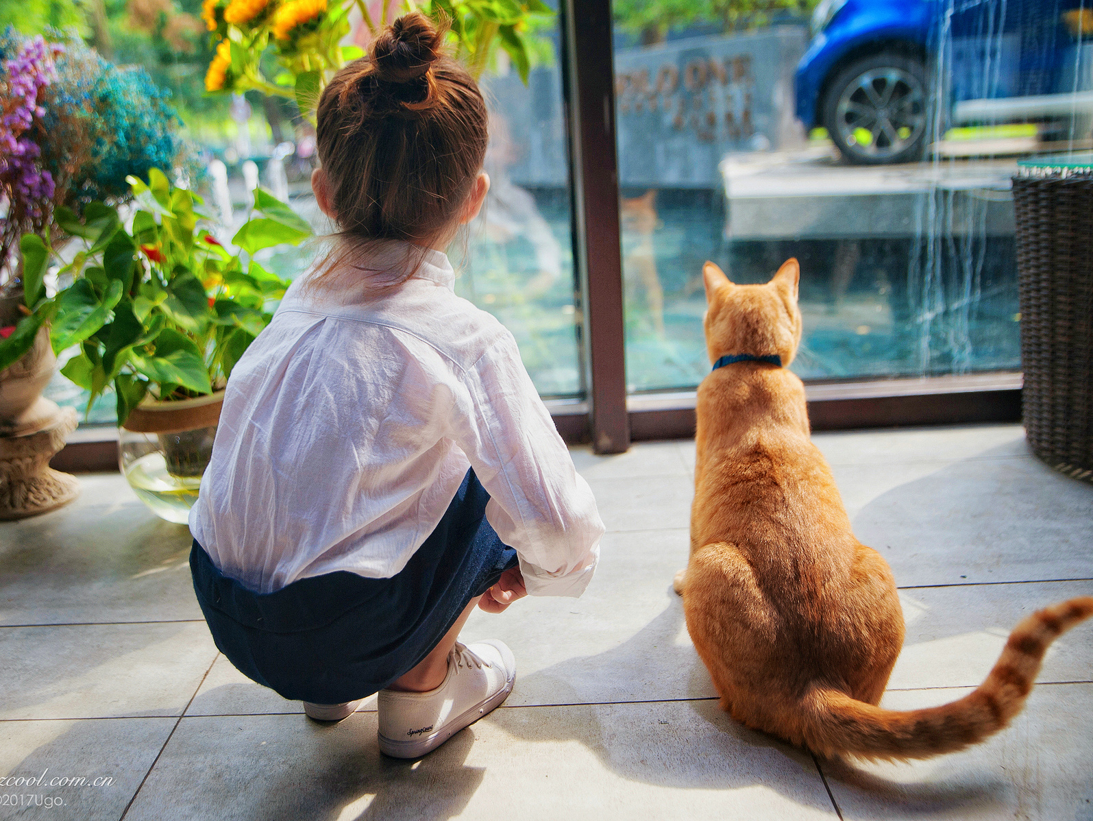 ℃---温度 【动物摄影师何某某个人作品15】