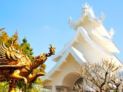 【鱼在囧途】泰国清迈自由行走——C