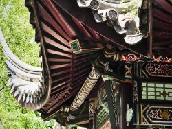 七月初路过总统府