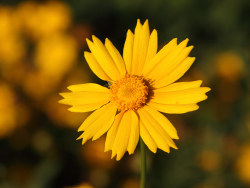 下班&nbsp;傍晚夕阳&nbsp;几张照片