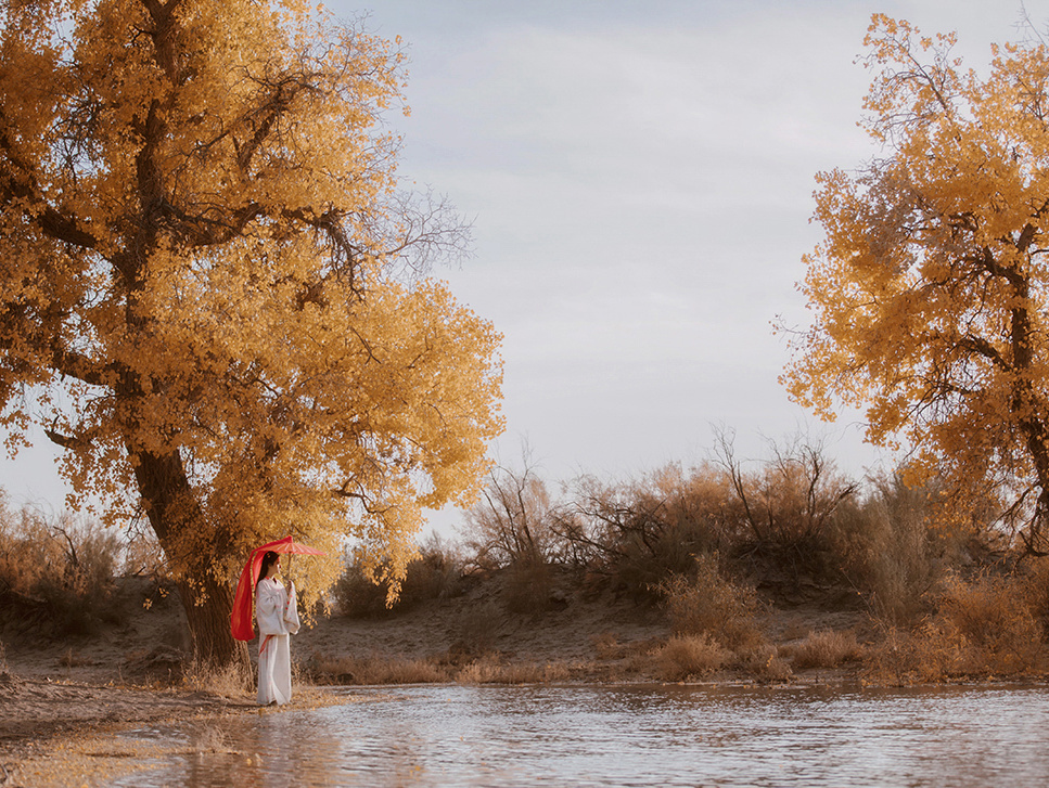 恨红尘多少匆匆。 